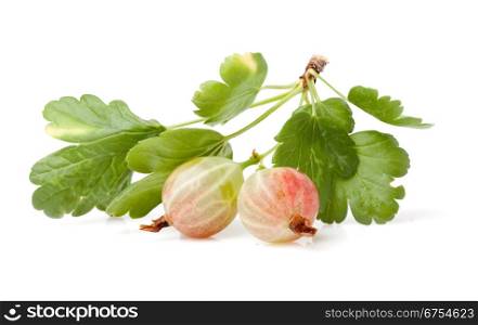 gooseberry, on a white background