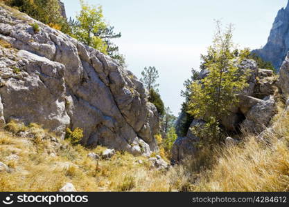 gorge in Ai-Petri mountain on Black Sea coast in autumn, Crimea