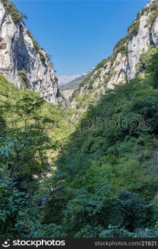 Gorge in the Alpes-Maritimes, France