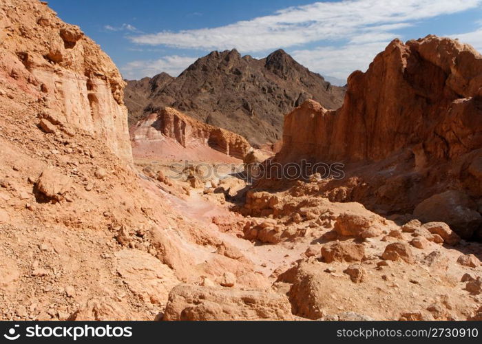 Gorge in the rocky desert