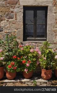 gorgeous greek scene with lovely geranium flowers by the window