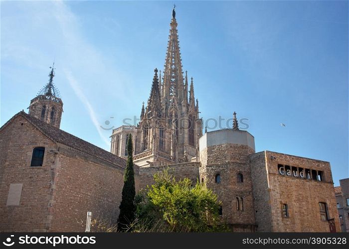 Gothic Barcelona Cathedral (Santa Eulalia or Santa Creu)