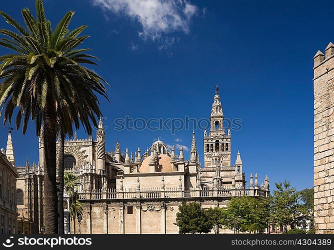 Gothic cathedral in Seville, Spain