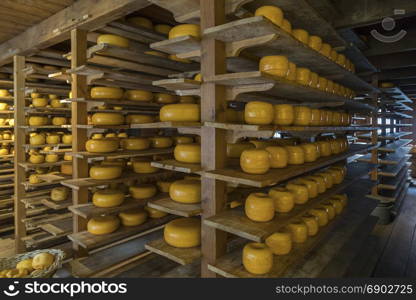 Gouda cheese store in the market town of Gouda in the Netherlands. Gouda is a flat round cheese with a yellow rind, originally made in Gouda although now the name is used today as a general term for a variety of similar cheeses produced in the traditional Dutch manner, as well as the Dutch original.