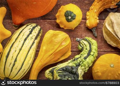gourd and winter squash collection against rustic red painted barn wood