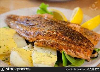 gourmet Grilled Salmon Steak with baked potato and lemon meal (selective focus at front)