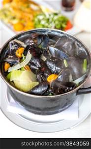 gourmet Steamed mussels with fresh herbs for a tasty seafood meal