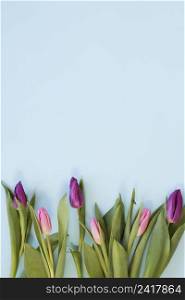 gradient pink tulip flowers arrangement sky blue background