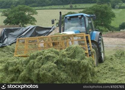 Grading out silage to fill the silage pit