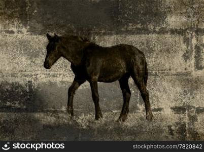 Graffiti of Horse Walking on Cold Brick Wall