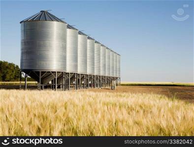Grain bins in the distance with a wheat field in the foreground. Shallow depth of field is used to bring attention to the grain bins.