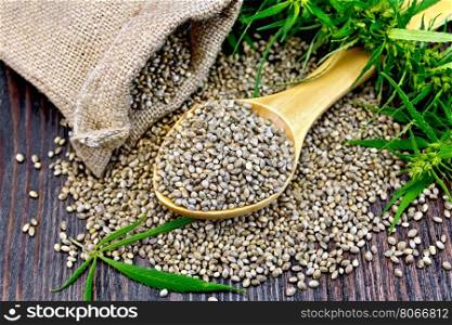 Grain hemp in a wooden spoon with a bag of coarse burlap against the background of the board