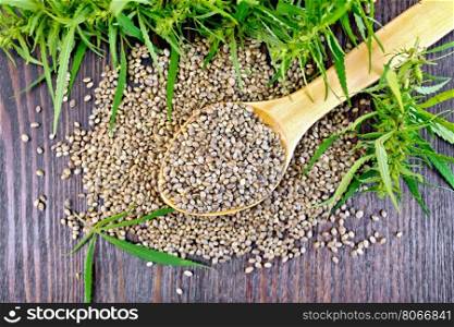 Grain hemp in spoon with cannabis leaves on the background of dark wooden boards on top