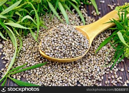 Grain hemp in spoon with cannabis leaves on the background of dark wood planks