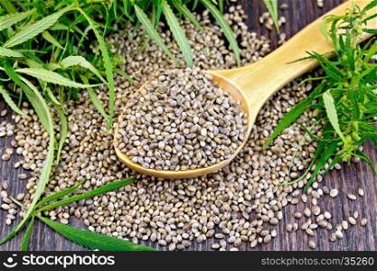 Grain hemp in spoon with green leaves cannabis on a background of dark wood planks