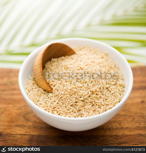 Grain in a White Ceramic Bowl