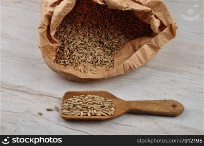 Grain in bag