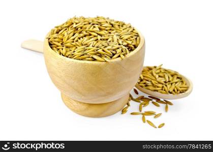 Grain oats in a wooden spoon and bowl isolated on white background