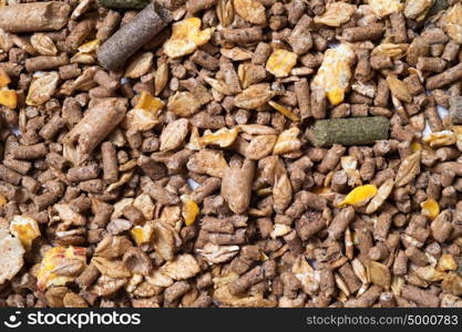 grain sportive muesli background. for horse.