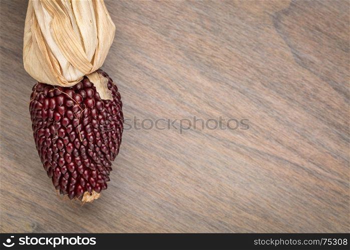 grained wood background with an ear of decorative strawberry corn and copy space