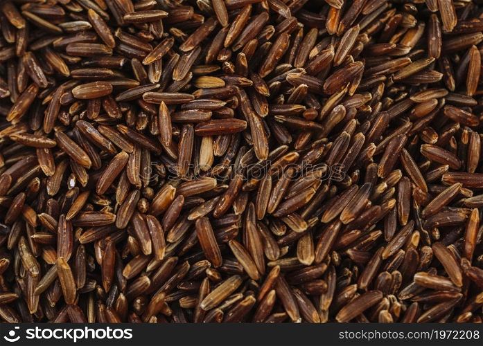grains brown rice. High resolution photo. grains brown rice. High quality photo