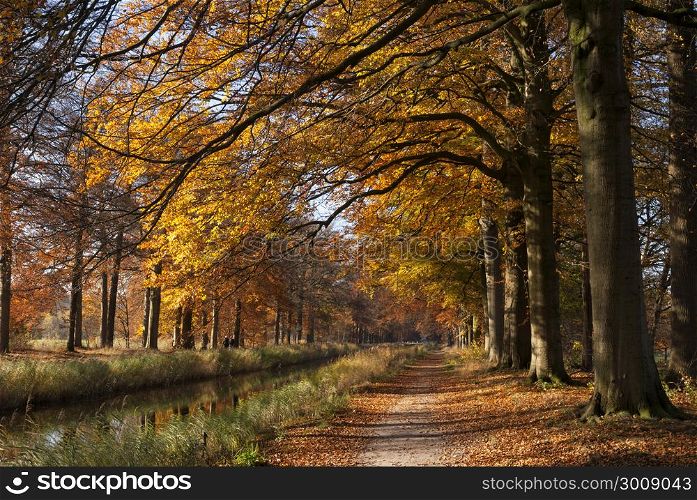 Gran Canal near the Dutch village Renswoude surrounded by autumn colored trees. Gran Canal Renswoude