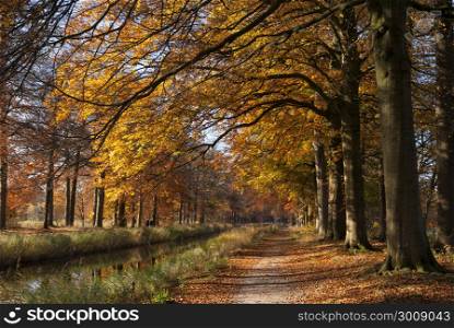 Gran Canal near the Dutch village Renswoude surrounded by autumn colored trees. Gran Canal Renswoude