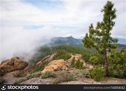 Gran Canaria mountain landscape, Roque Nublo is in the background, Canary islands, Spain.