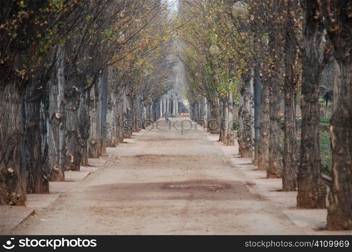 Granada, Andalusia, Spain, Federico Garcia Lorca park