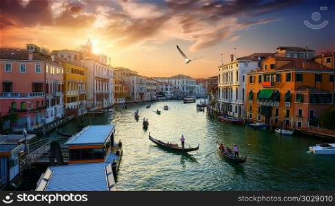 Grand Canal in Venice at the sunset, Italy. Venice at the sunset. Venice at the sunset