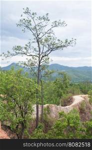 Grand Canyon Capital of Thailand. Attractions in Mae Hong Son province in the wild.