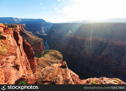 Grand Canyon landscapes