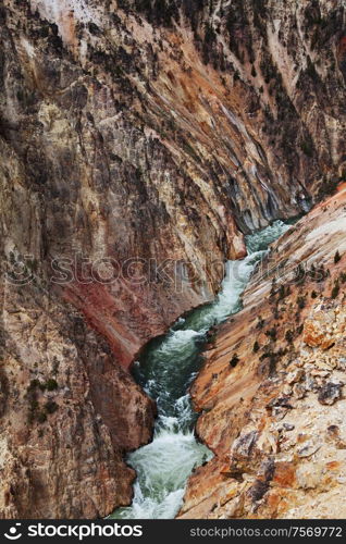 Grand Canyon Yellowstone, Yellowstone National Park