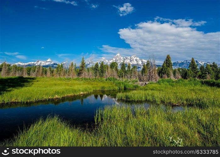 Grand Teton Mountains from Schwabacher&rsquo;s Landing on the Snake River at morning. Grand Teton National Park, Wyoming, USA.