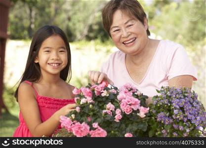 Granddaughter And Grandmother Gardening Together