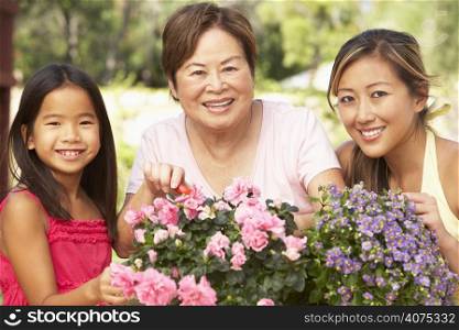 Granddaughter With Grandmother And Mother Gardening Together
