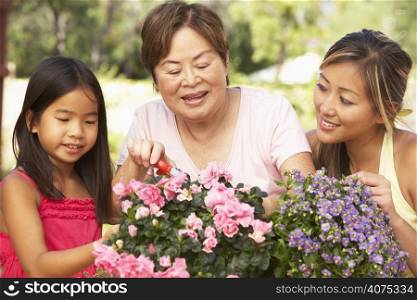 Granddaughter With Grandmother And Mother Gardening Together