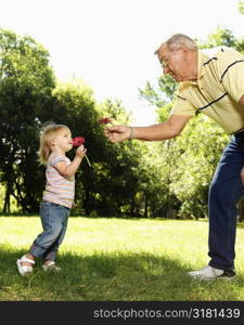 Grandfather and granddaughter holding flowers and smelling.