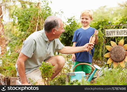 Grandfather And Grandson Working On Allotment