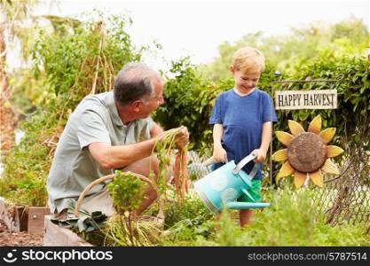 Grandfather And Grandson Working On Allotment