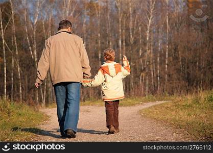 Grandfather and the grandson walk on wood, keeping for hands