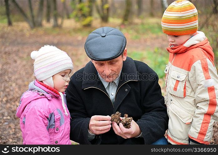 Grandfather with grandsons in wood in autumn with bur