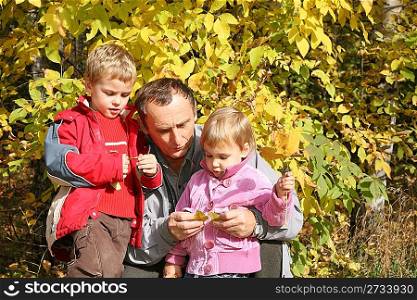 grandfather with the grandson and granddaughter in park in autumn