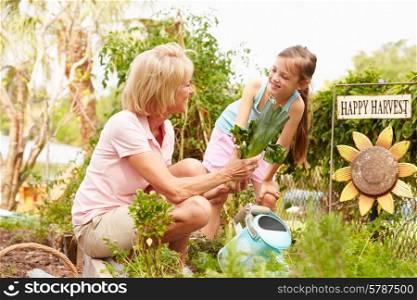 Grandmother And Granddaughter Working On Allotment