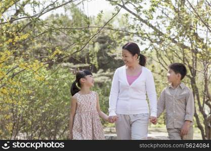 Grandmother holding hands with her two grandchildren and going for a walk in the park in springtime