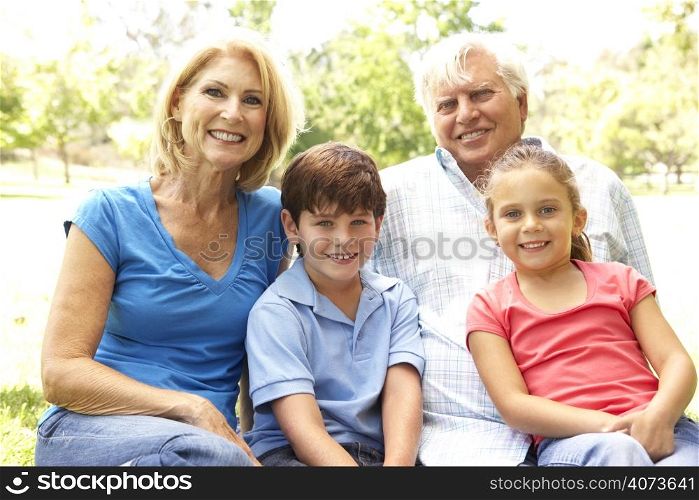 Grandparents And Grandchildren Enjoying Day In Park