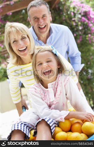 Grandparents Pushing Granddaughter In Wheelbarrow Filled With Oranges