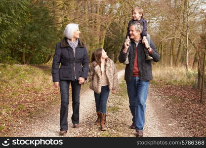 Grandparents With Grandchildren On Walk In Countryside