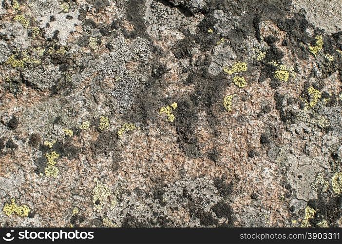 Granite stone mountain rock surface with colorful lichens closeup as background
