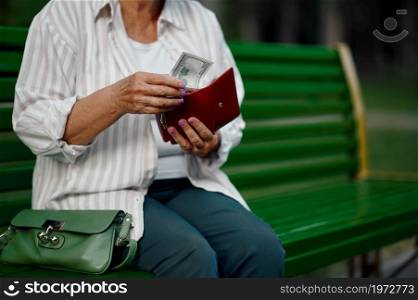 Granny takes money out of her wallet on the bench in summer park. Aged people lifestyle. Pretty grandmother having fun outdoors, old female person on nature. Granny takes money out of her wallet in park